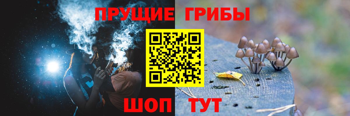 Псилоцибиновые грибы GOLDEN TEACHER Конаково